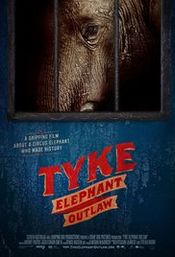 Poster Tyke Elephant Outlaw
