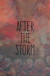 Poster After the Storm