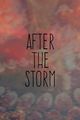 Film - After the Storm