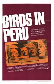 Poster Les oiseaux vont mourir au Pérou