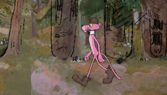 Pink Is a Many Splintered Thing