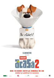 Poster The Secret Life of Pets 2
