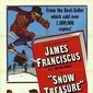 Poster 1 Snow Treasure