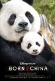 Film - Born in China