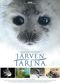 Film Järven tarina