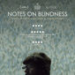 Poster 1 Notes on Blindness