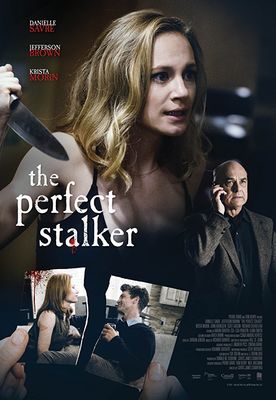 The Perfect Stalker poster