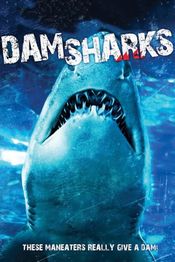 Poster Dam Sharks
