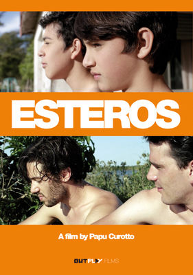 Esteros poster