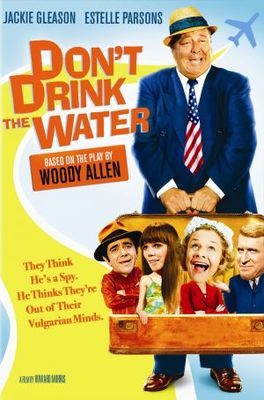 Don't Drink the Water poster