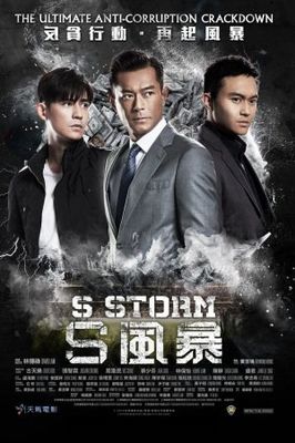 S Storm poster