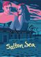 Film Salton Sea