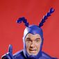 Poster 1 The Tick