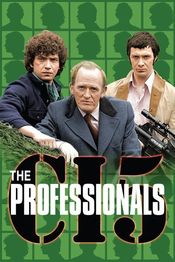 Poster The Professionals
