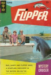Poster Flipper's Treasure