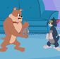 The New Tom & Jerry Show/Tom şi Jerry se dau în spectacol