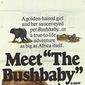 Poster 3 The Bushbaby