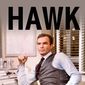 Poster 2 Hawk