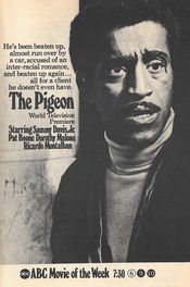 Poster The Pigeon