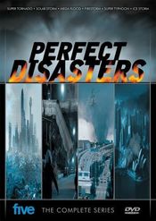 Poster Perfect Disaster