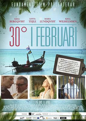 30° i februari poster