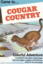 Poster Cougar Country