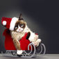 Grumpy Cat's Worst Christmas Ever/Cel mai groaznic Crăciun