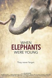Poster When Elephants Were Young