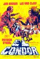 Film - El Condor