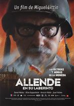 Allende en su laberinto 