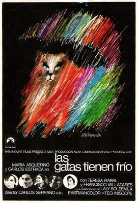 Las gatas tienen frío poster