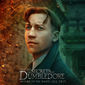 Poster 14 Fantastic Beasts: The Secrets of Dumbledore