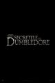Film - Fantastic Beasts: The Secrets of Dumbledore