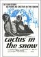 Film Cactus in the Snow