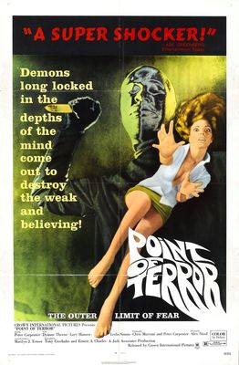 Point of Terror poster