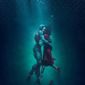 Poster 40 The Shape of Water