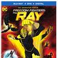 Poster 2 Freedom Fighters: The Ray