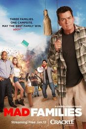 Poster Mad Families
