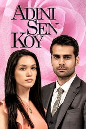Poster Adini sen koy