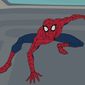 Spider-Man/Spider-Man
