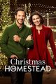 Film - Christmas in Homestead