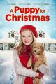 Film - A Puppy for Christmas