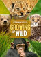 Film Growing Up Wild