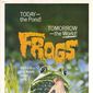 Poster 4 Frogs