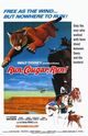 Film - Run, Cougar, Run