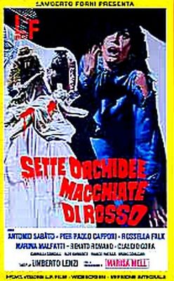 Sette orchidee macchiate di rosso