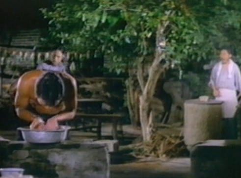 Ding tian li di