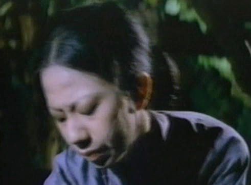 Ding tian li di