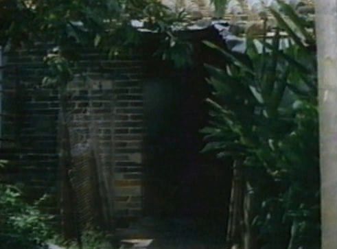 Ding tian li di