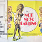 Poster 3 Not Now Darling